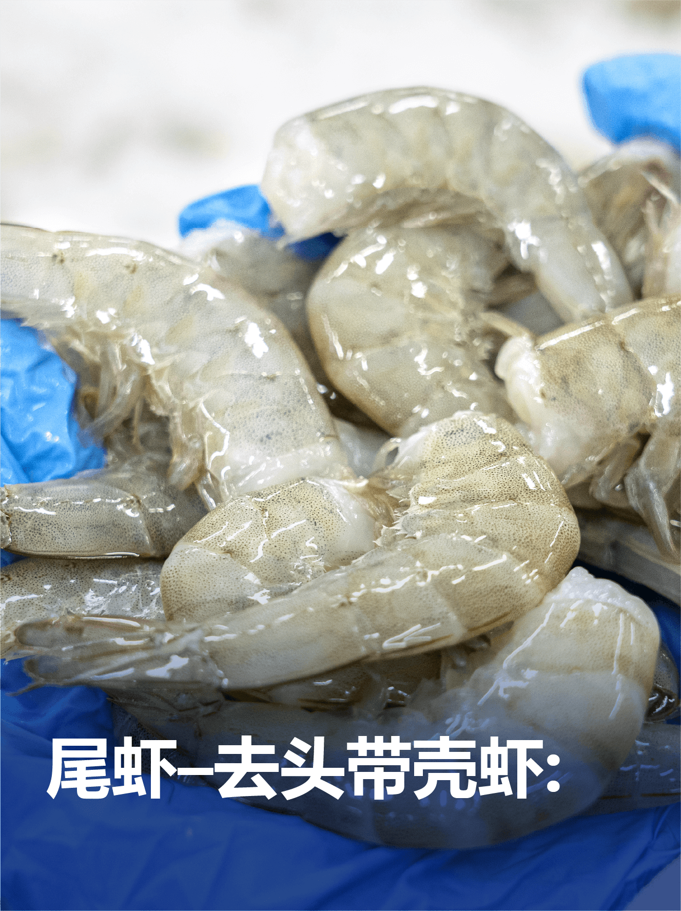 C COLA – SHLO – CH