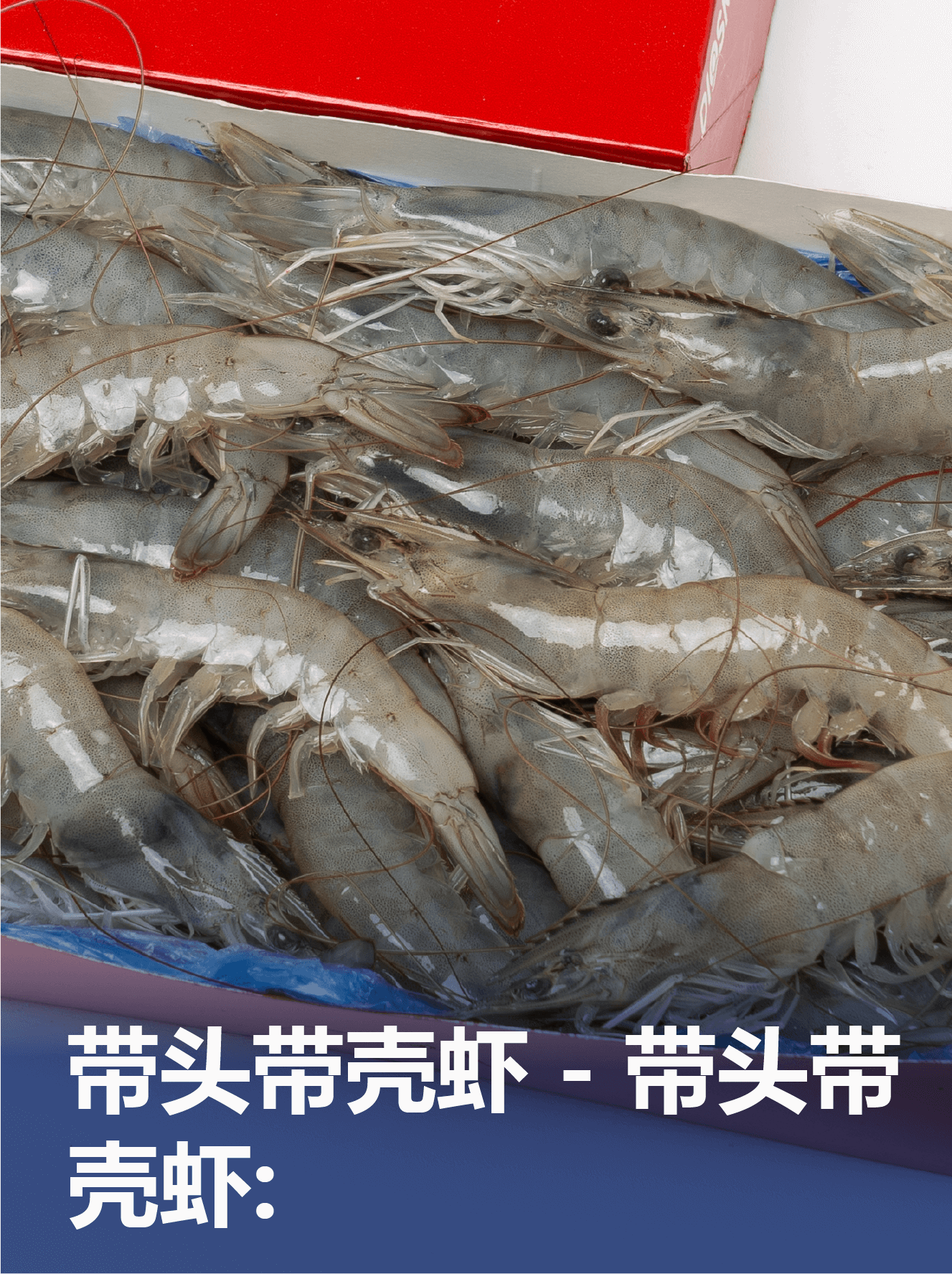 C ENTERO – HOSO – CH