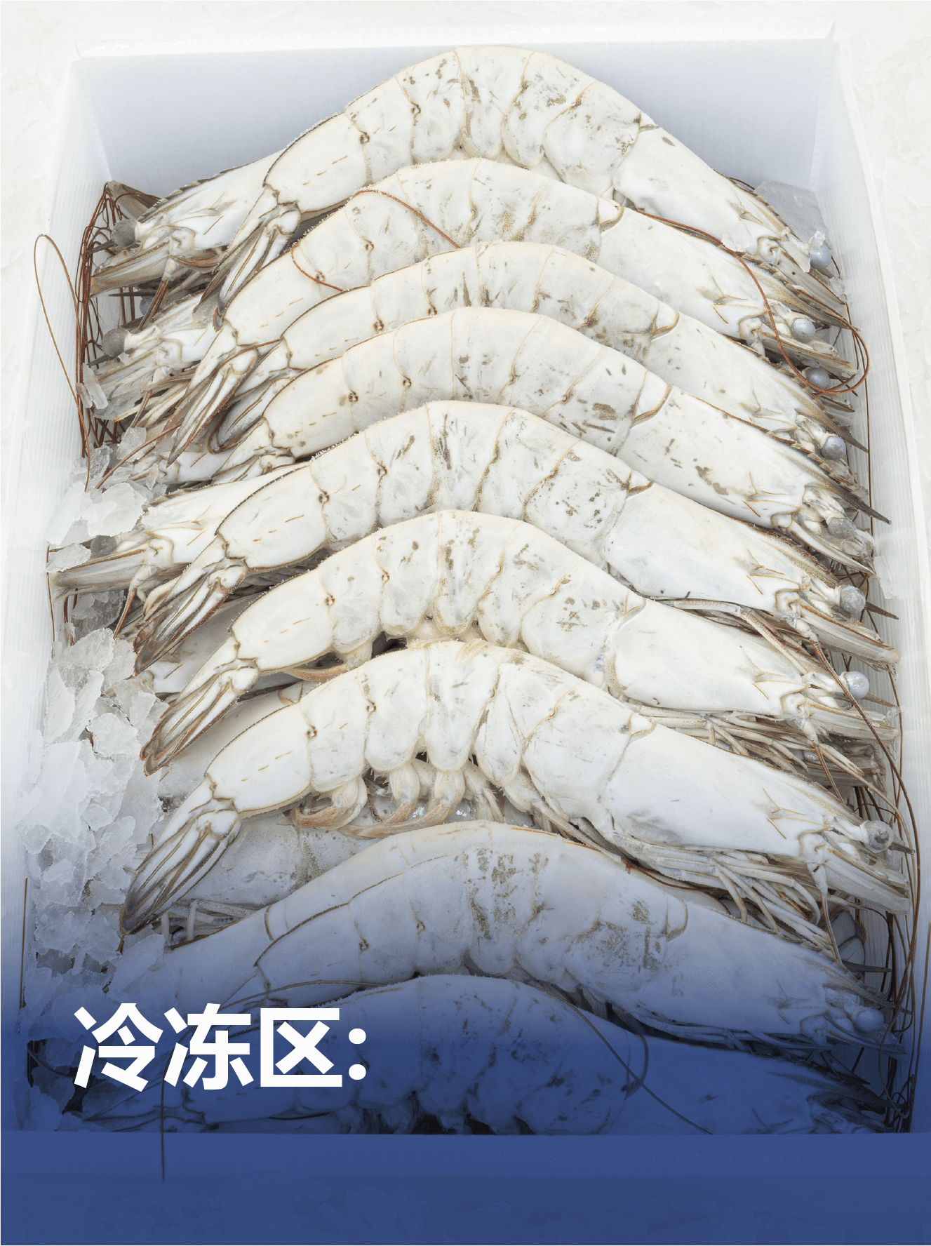 CNGELACION BLOQUE – CH