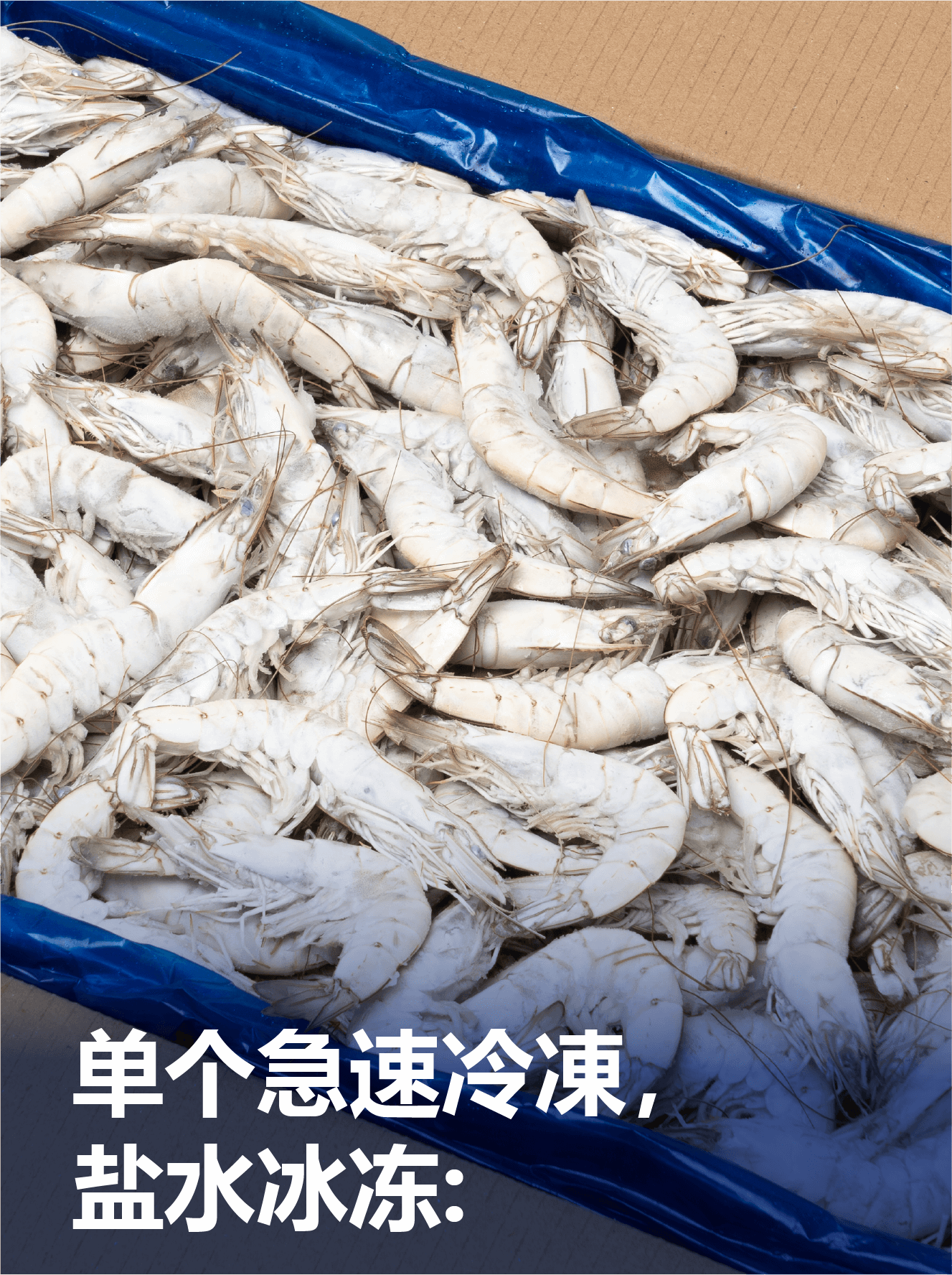 CONG IQF BRINE – CH