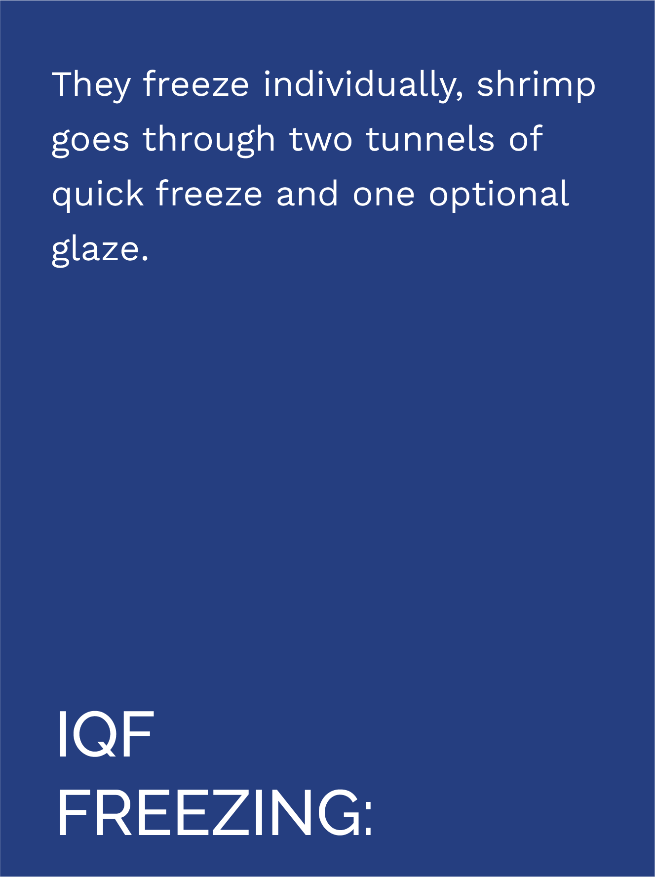 TEXT CON IQF – ENG
