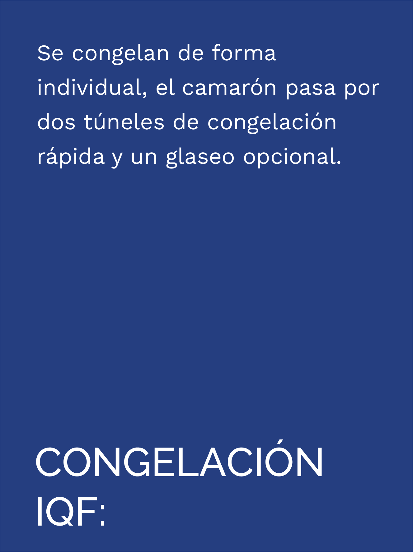 TEXT CON IQF – ESP